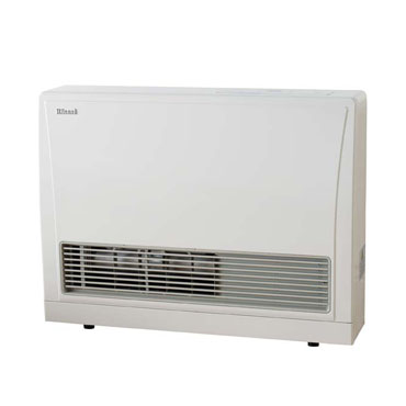 Rinnai Energysaver 559FT Heater